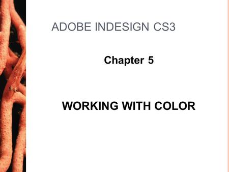 ADOBE INDESIGN CS3 Chapter 5 WORKING WITH COLOR. Chapter 52 Work with Process Colors LESSON 1 2 Process colors are colors you create by mixing varying.