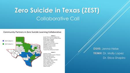 Zero Suicide in Texas (ZEST) Zero Suicide in Texas (ZEST) Collaborative Call DSHS: DSHS: Jenna Heise TIEMH: TIEMH: Dr. Molly Lopez Dr. Erica Shapiro.