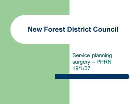 New Forest District Council Service planning surgery – PPRN 19/1/07.