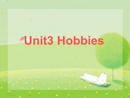 Unit3 Hobbies.