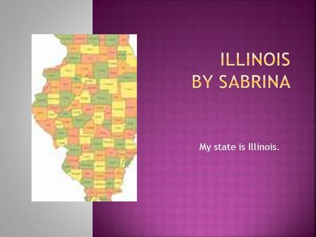 My state is Illinois. Prairie state State Sovereignty, National Union.