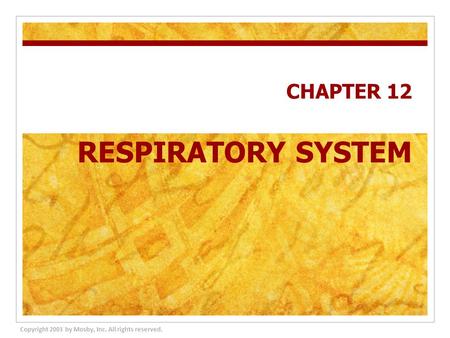 CHAPTER 12 RESPIRATORY SYSTEM