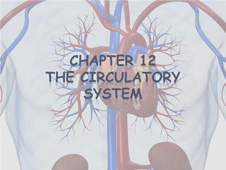 Elsevier items and derived items © 2008, 2004 by Mosby, Inc., an affiliate of Elsevier Inc. HEART Location, size, and position Triangular organ located.