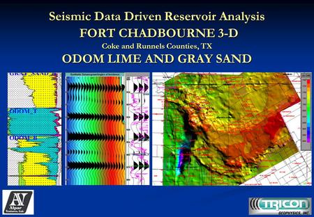 Seismic Data Driven Reservoir Analysis FORT CHADBOURNE 3-D Coke and Runnels Counties, TX ODOM LIME AND GRAY SAND.