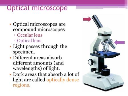 Optical microscope Optical microscopes are compound microscopes ▫Occular lens ▫Optical lens Light passes through the specimen. Different areas absorb different.