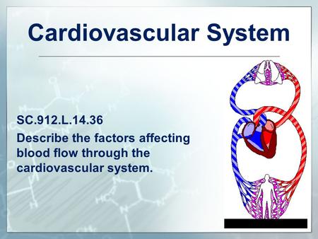 Cardiovascular System SC.912.L.14.36 Describe the factors affecting blood flow through the cardiovascular system.