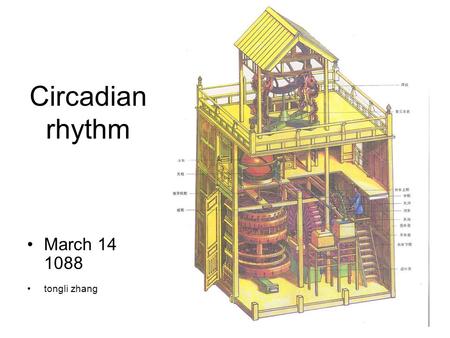 Circadian rhythm March 14 1088 tongli zhang. Circadian rhythm.