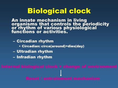 Biological clock An innate mechanism in living organisms that controls the periodicity or rhythm of various physiological functions or activities. Circadian.