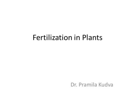 Fertilization in Plants Dr. Pramila Kudva. Structure of a mature pollen grain.
