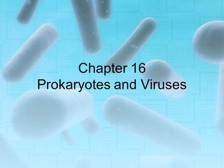 Chapter 16 Prokaryotes and Viruses 16.1 Prokaryotic Life Earth’s timescale in a year/ 365 days formed at midnight Jan 1 time now at 11:59:59 on Dec 31.