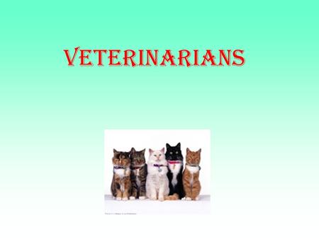 Veterinarians. Animals are very important to people. We keep dogs and cats as pets.