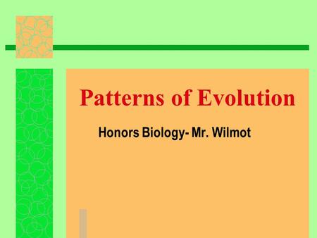 Patterns of Evolution Honors Biology- Mr. Wilmot.