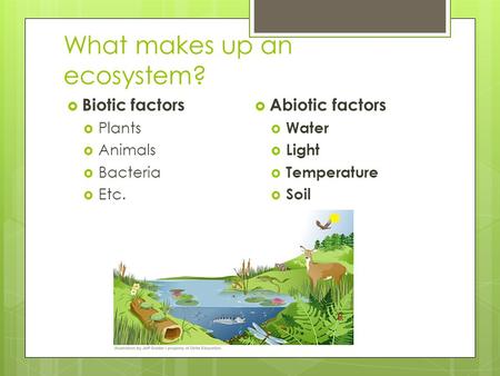 What makes up an ecosystem?  Biotic factors  Plants  Animals  Bacteria  Etc.  Abiotic factors  Water  Light  Temperature  Soil.