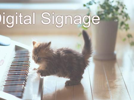 Digital Signage has been put into use in the business or organization. For the purpose of the three major reasons to create name or brand, communications.