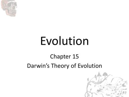 Evolution Chapter 15 Darwin’s Theory of Evolution.