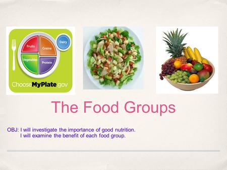 The Food Groups OBJ: I will investigate the importance of good nutrition. I will examine the benefit of each food group.