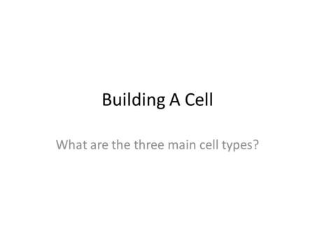 Building A Cell What are the three main cell types?