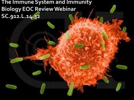 The Immune System and Immunity Biology EOC Review Webinar SC.912.L.14.52.