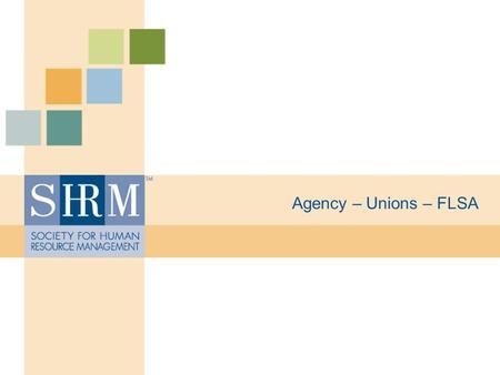 Agency – Unions – FLSA. ©SHRM 2008 Agency Law Employment law based on “master/servant” relationship. The “master” is responsible for the “servant”. Vicarious.