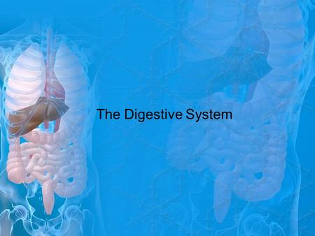 The Digestive System. 2 Digestion is the process of breaking down food into nutrients that can be absorbed by cells.