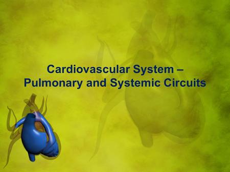 Cardiovascular System – Pulmonary and Systemic Circuits.