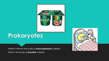 Prokaryotes Think!!!!: What is the study of microorganisms called? What is the study of bacteria called? Think!!!!: What is the study of microorganisms.