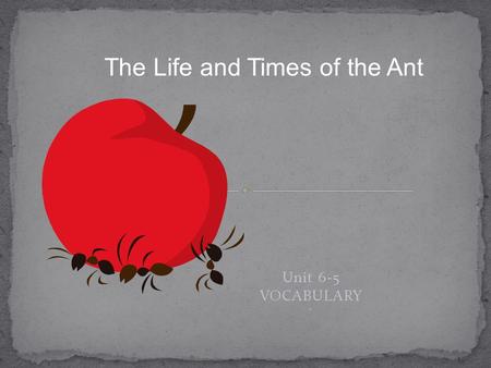 Unit 6-5 VOCABULARY ` The Life and Times of the Ant.