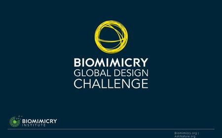 Biomimicry.org | AskNature.org. BIOMIMICRY INSTITUTE DESIGN FOR LIFE. The Biomimicry Global Design Challenge is an annual competition hosted by the Biomimicry.