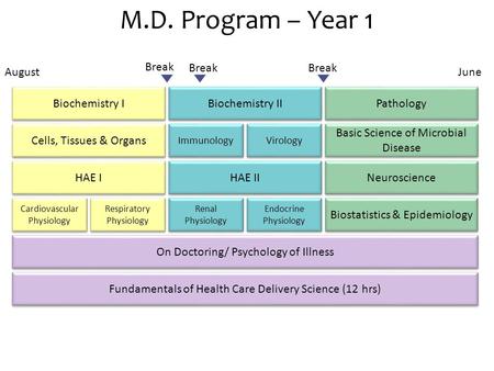 M.D. Program – Year 1 Biochemistry I Biochemistry II Cells, Tissues & Organs HAE I Cardiovascular Physiology Immunology HAE II Renal Physiology Basic Science.