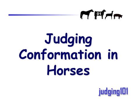 Judging Conformation in Horses 01. 02 Outline 1. Balance 2. Quality 3. Muscling 4. Structure.