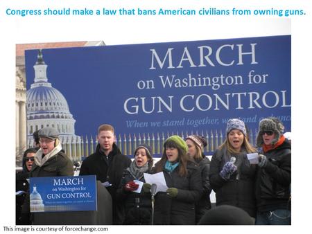 Congress should make a law that bans American civilians from owning guns. This image is courtesy of forcechange.com.