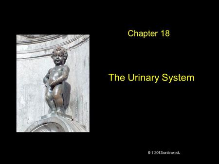 The Urinary System Chapter 18 9 1 2013 online ed..