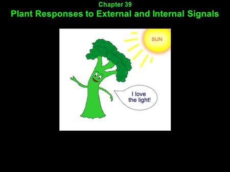 Chapter 39 Plant Responses to External and Internal Signals.