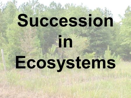 Succession in Ecosystems. What caused this? Equilibrium What did the events do to the earth? How did the events do this? What part of the earth was.