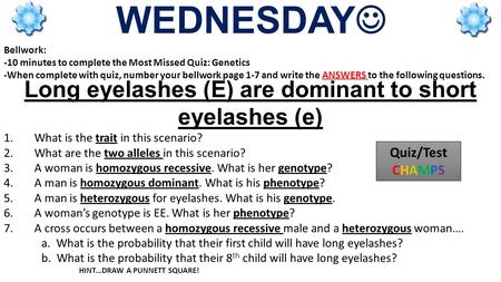 Long eyelashes (E) are dominant to short eyelashes (e)