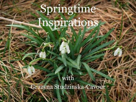 Springtime Inspirations with Grazyna Studzinska-Cavour.