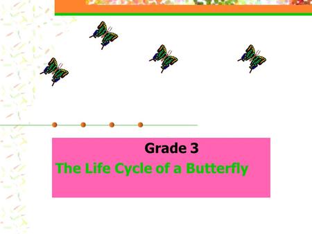 Grade 3 The Life Cycle of a Butterfly. The First Stage of a Butterfly's Life. The egg is the first stage of a butterfly’s life.