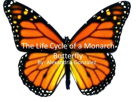 The Life Cycle of a Monarch Butterfly By: Alexandria Gonzalez.