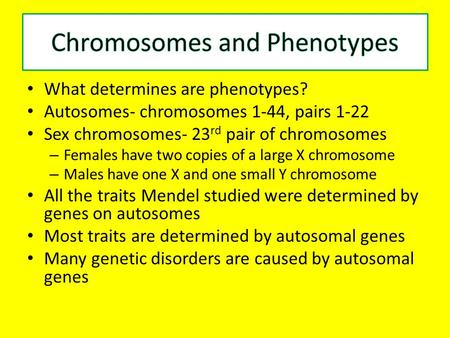 What determines are phenotypes? Autosomes- chromosomes 1-44, pairs 1-22 Sex chromosomes- 23 rd pair of chromosomes – Females have two copies of a large.