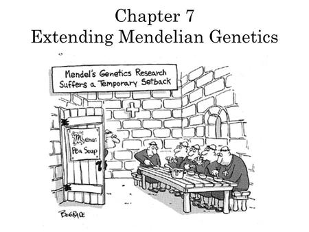 Chapter 7 Extending Mendelian Genetics. Karyotype = picture of all chromos in cell They can show a change in chromos whether autosomal or sex-linked.