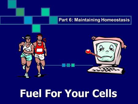 Fuel For Your Cells Part 6: Maintaining Homeostasis.