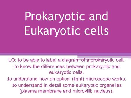 Prokaryotic and Eukaryotic cells