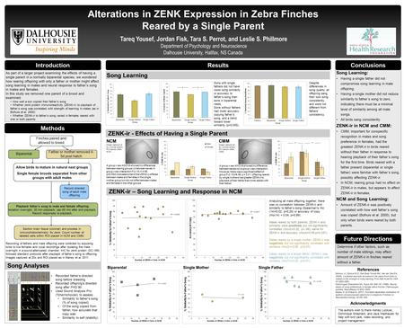 Alterations in ZENK Expression in Zebra Finches Reared by a Single Parent Tareq Yousef, Jordan Fisk, Tara S. Perrot, and Leslie S. Phillmore Department.