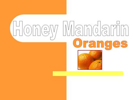 Mandarins are citrus fruits in the orange family that grow on small citrus trees The mandarin orange is considered a native of south- eastern Asia and.