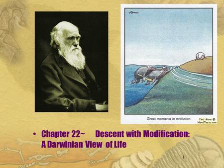 1 Chapter 22~ Descent with Modification: A Darwinian View of Life.