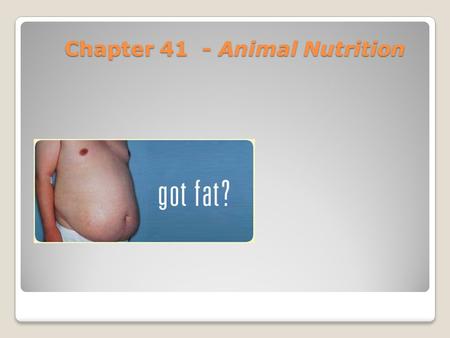 Chapter 41 - Animal Nutrition. Negative feedback.