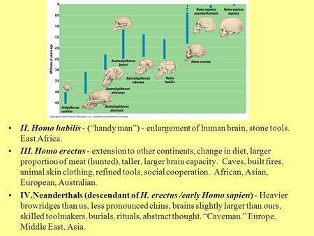 II. Homo habilis - (“handy man”) - enlargement of human brain, stone tools. East Africa. III. Homo erectus - extension to other continents, change in diet,