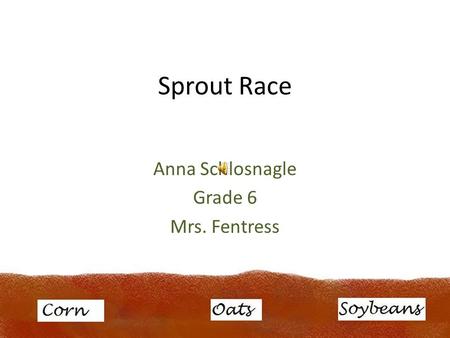 Anna Schlosnagle Grade 6 Mrs. Fentress