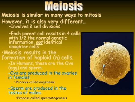Meiosis is similar in many ways to mitosis However, it is also very different… Meiosis results in the formation of haploid (n) cells.Meiosis results in.