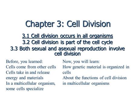Chapter 3: Cell Division